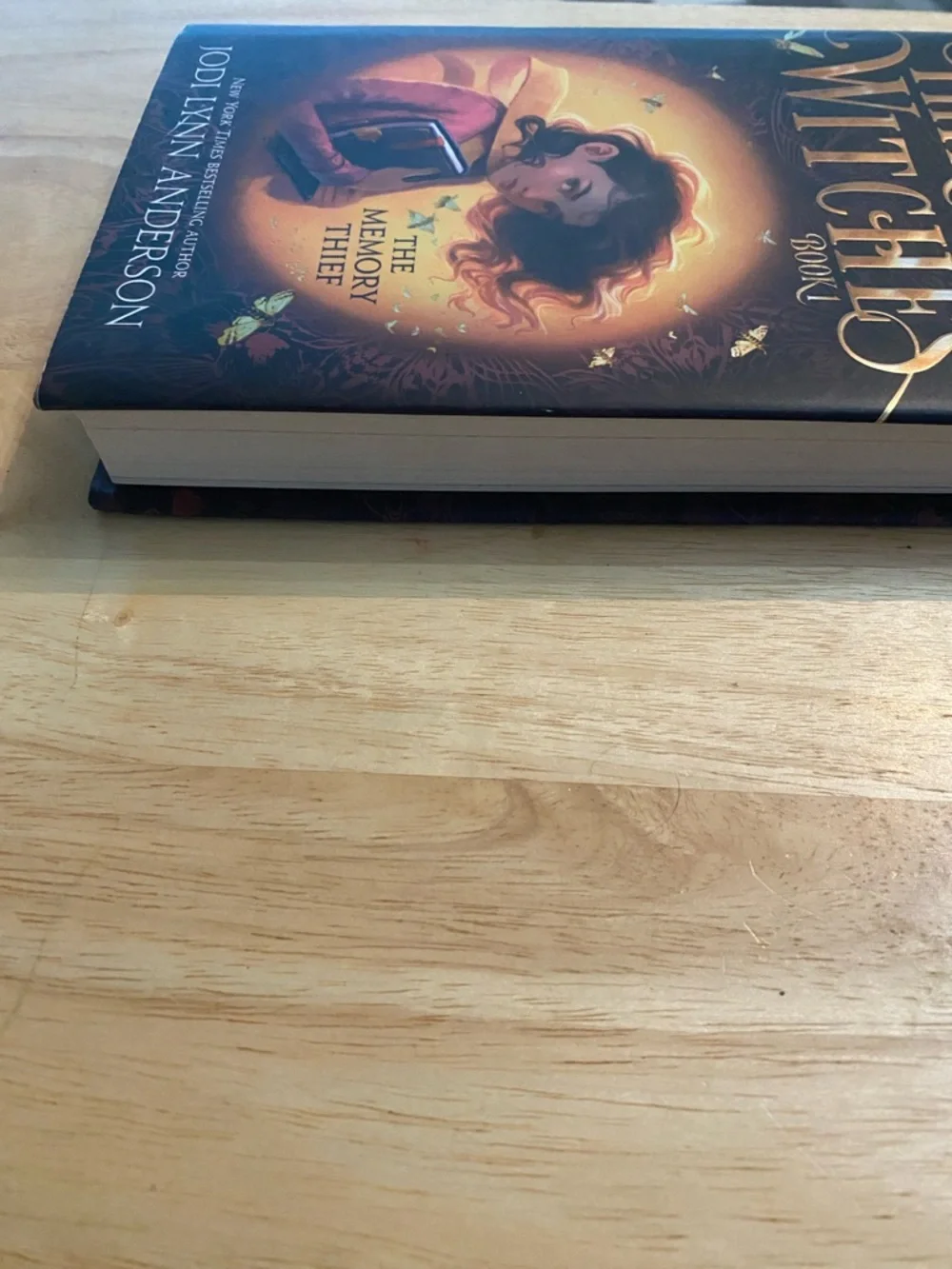 Thirteen Witches: The Memory Thief - Jodi Lynn Anderson Hardcover Book